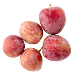 Red ripe plums