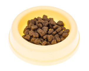 Animal food in special bowl on white background