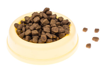 Animal food in special bowl on white background