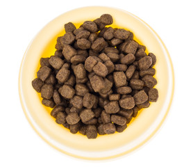 Animal food in special bowl on white background