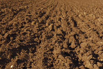 Soil texture background