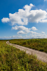 北海道　夏草の道