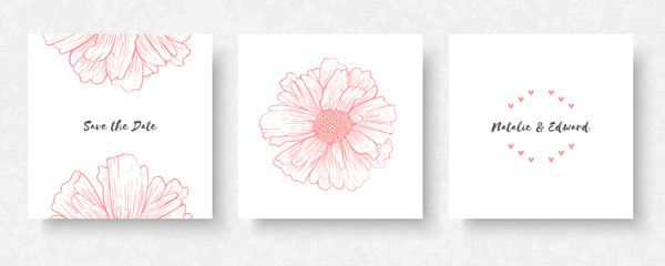 Vector elements for design template. Ornate decor for invitations, greeting cards, certificate, labels, badges, tags. © Mirror Flow