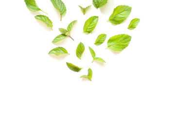 Composition with Fresh mint leaves