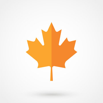 Simple maple leaf. Color symbol icon on white background. Vector illustration