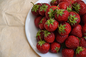 Strawberry farmland organic berry vintage paper 3