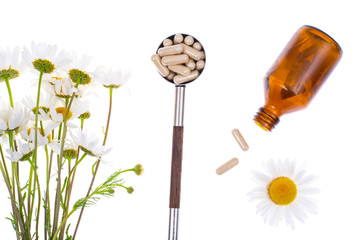 Medicinal plant Camomile pharmacy in capsules