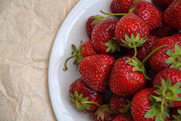 Strawberry farmland organic berry vintage paper 5