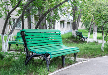 A bench of green color in the city park