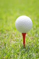 Golf ball on wooden golf tee.