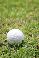Golf ball on wooden golf tee.
