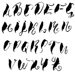 Hand drawn elegant calligraphy font. Modern brush lettering. Grunge style alphabet. Vector illustration.