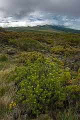 Landscape of Haleakala National Park