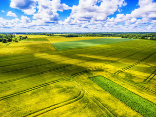 Saarema Island, Estonia: aerial top view of summer fields in Leisi Parish