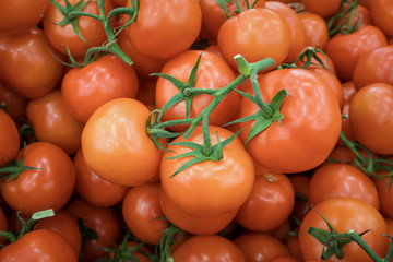 Ripe fresh tomatoes on sale at the market
