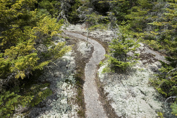 Granite Pathway in the Adirondack Mountains of New York