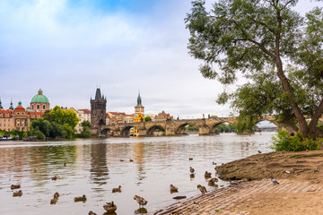 Prague Bridge