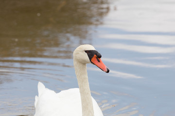 Parc du Teich