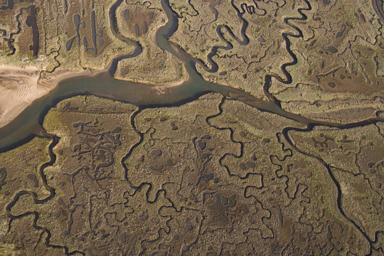 Aerial view of creeks and saltmarsh on Morston marsh, Norfolk, UK, October 2008.