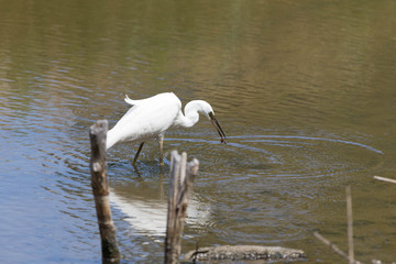 Parc du Teich