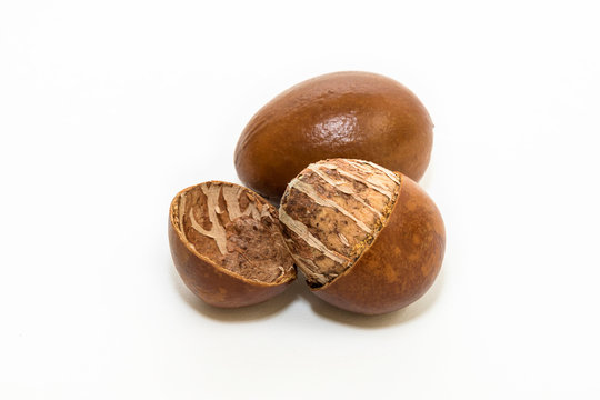 Shea nuts, with detail of its interior. Vitellaria paradoxa.