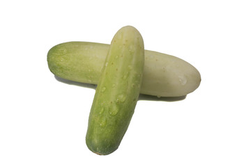  cucumber