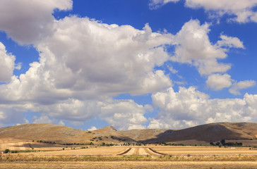 Summer rural landscape: Alta Murgia National Park.Hilly field with harvest...