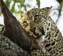 Dinner time