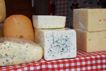 Pieces of different cheeses