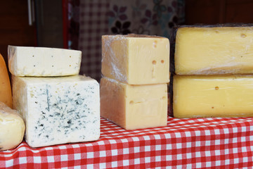 Pieces of different cheeses