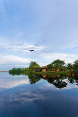 Fototapeta na wymiar Flying bird, Lake Marawila, Sri Lanka, Asia