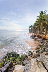 Fototapeta na wymiar Beach of Marawila, Sri Lanka, Asia
