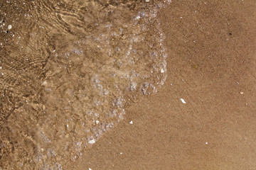 The sandy shore is washed by the Baltic Sea water