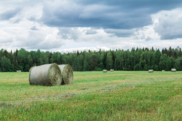 Hay reels in the field