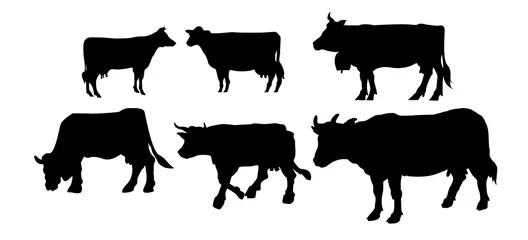 Papier Peint photo Lavable Produits laitiers Cows Silhouttes