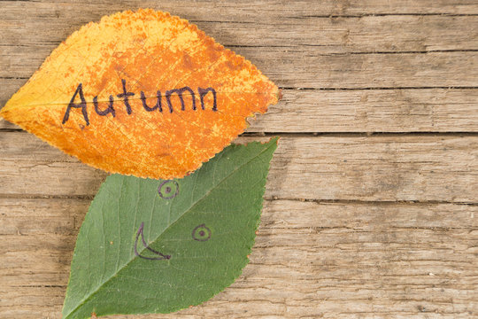 Green and orange leaves with inscription AUTUMN on the wooden background