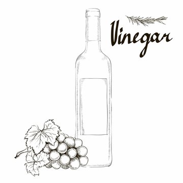 Wine Vinegar In The Bottle Vector, Outline.