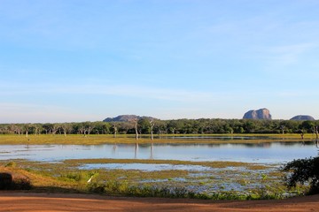 Parc de Yala