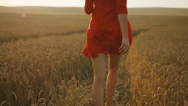 Happy young woman in red dress running in the golden field during the sunshine and enjoing the nature. Dolly shot. View from the back.