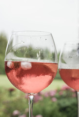 wine glasses against a garden