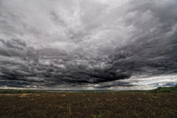 Autumnal field and sky