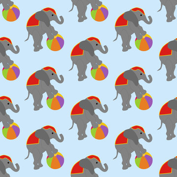 Elephant in circus pattern