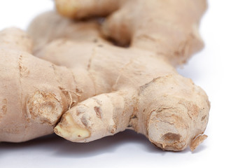 root ginger isolated on white