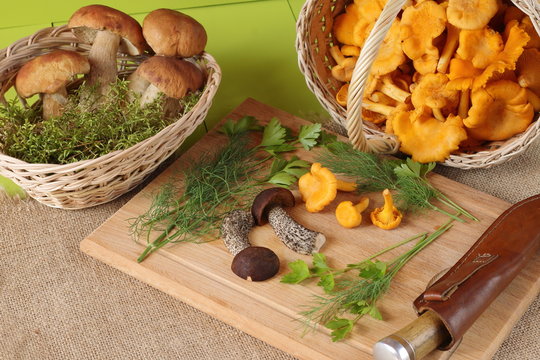 Composition of raw edible mushrooms on a green wooden background.