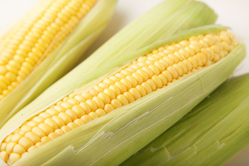 トウモロコシ