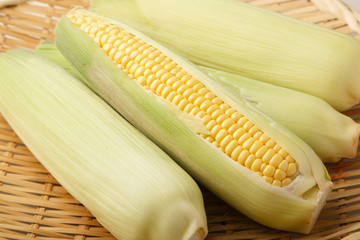 トウモロコシ