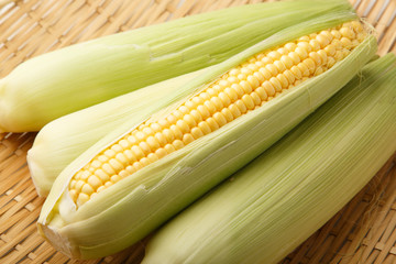 トウモロコシ
