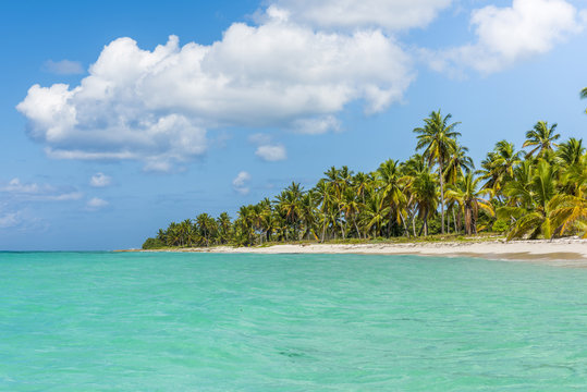 Canto de la Playa, Saona Island, East National Park (Parque Nacional del Este), Dominican Republic, Caribbean Sea.