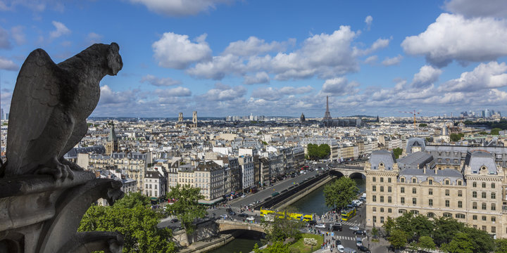 View from the Notre Dame Cathedral, Paris, France