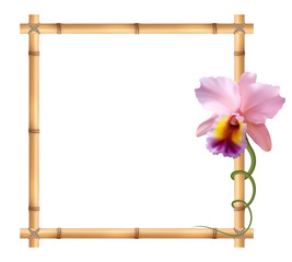 Realistic bamboo frame with orchid flower.